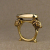 indian cows ring