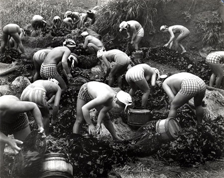 Harvesting Seaweed, 1956, by Iwase Yoshiyuki