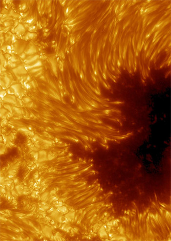 close-up of sunspot