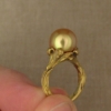 Taiwan Lily Pearl Solitaire